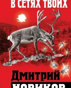 В сетях Твоих: Дмитрий Новиков
